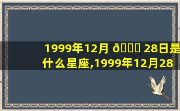 1999年12月 🐒 28日是什么星座,1999年12月28号是农历几月几号